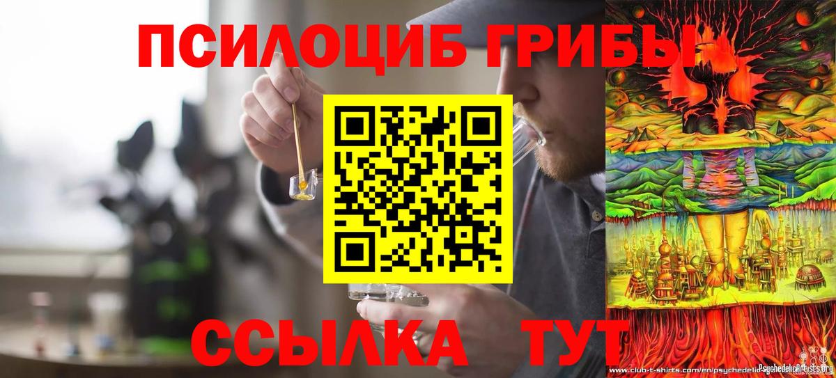 Псилоцибиновые грибы GOLDEN TEACHER Назарово