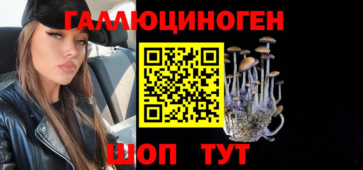 Галлюциногенные грибы MAGIC MUSHROOMS  что такое наркотик  Назарово  Псилоцибиновые грибы Psilocybine cubensis  Вход с VPN 